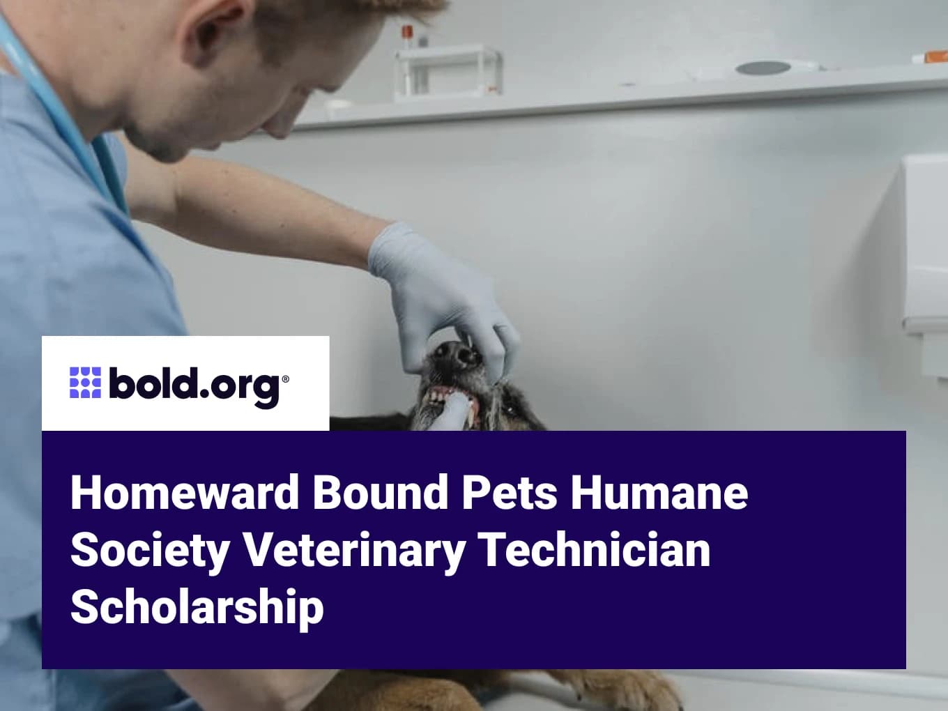 Homeward Bound Pets Humane Society Veterinary Technician Scholarship