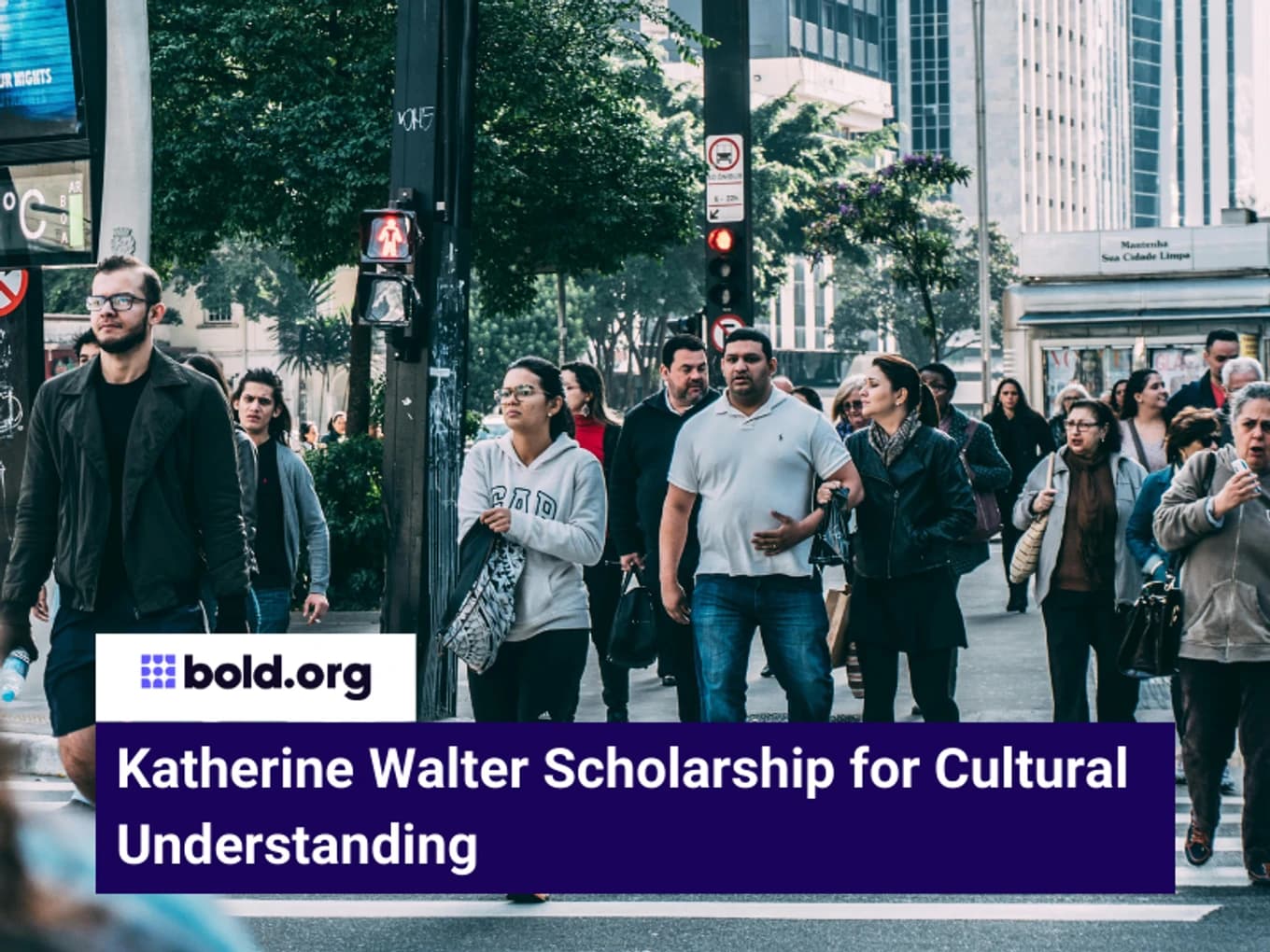 Katherine Walter Scholarship for Cultural Understanding