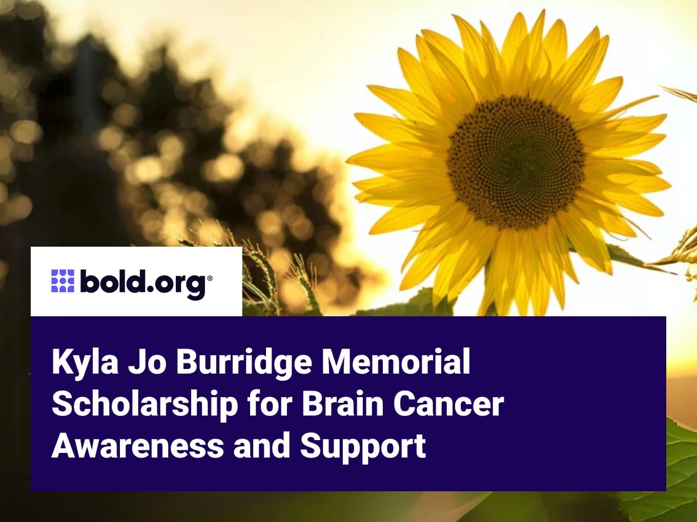 Kyla Jo Burridge Memorial Scholarship for Brain Cancer Awareness and Support
