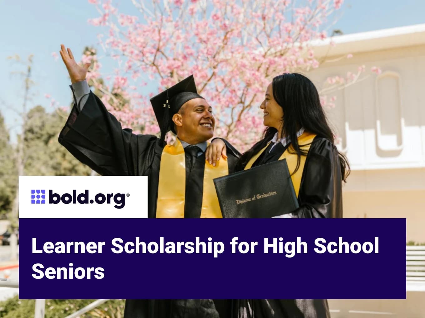Learner Scholarship for High School Seniors