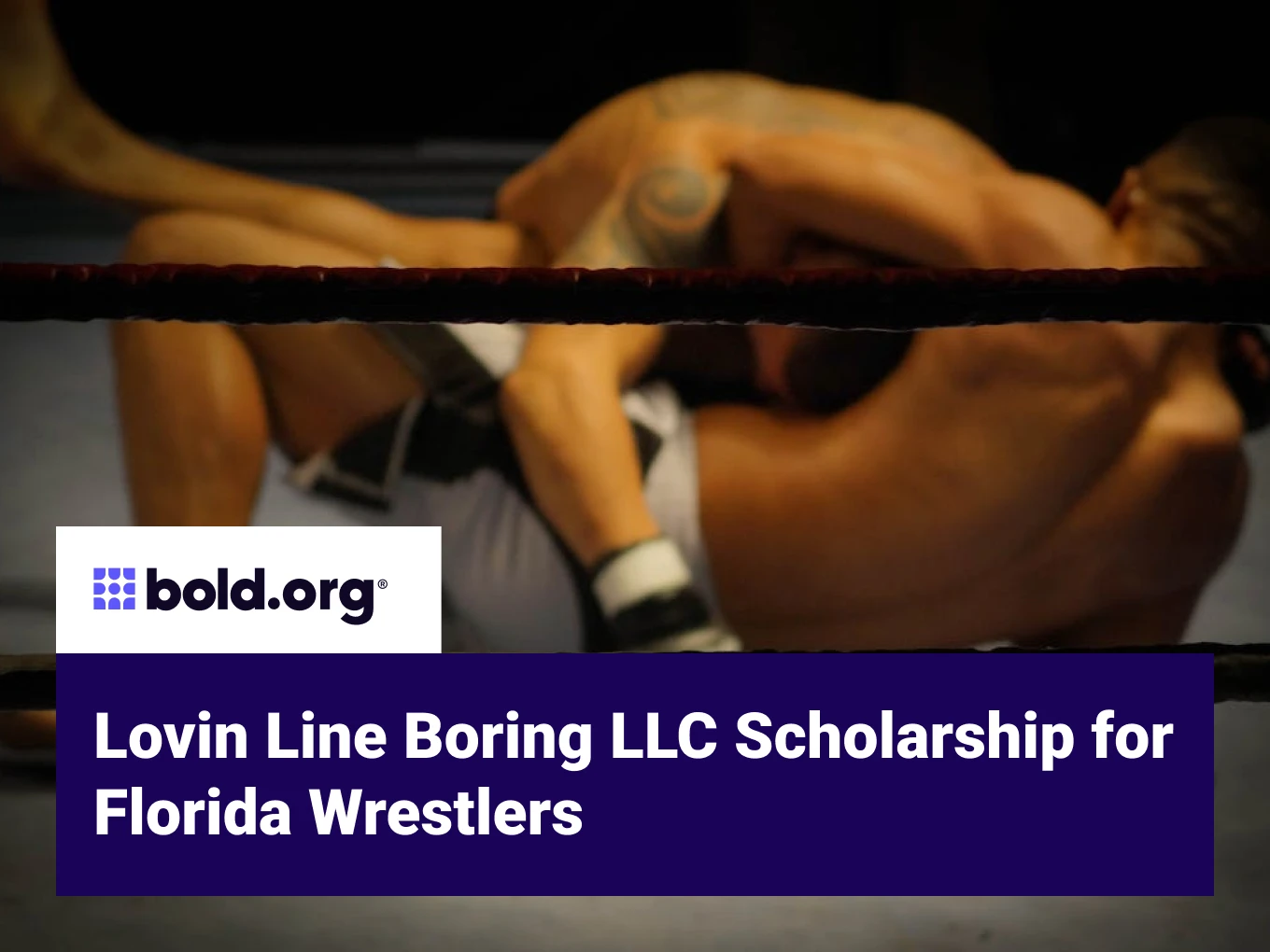 Lovin Line Boring LLC Scholarship for Florida Wrestlers