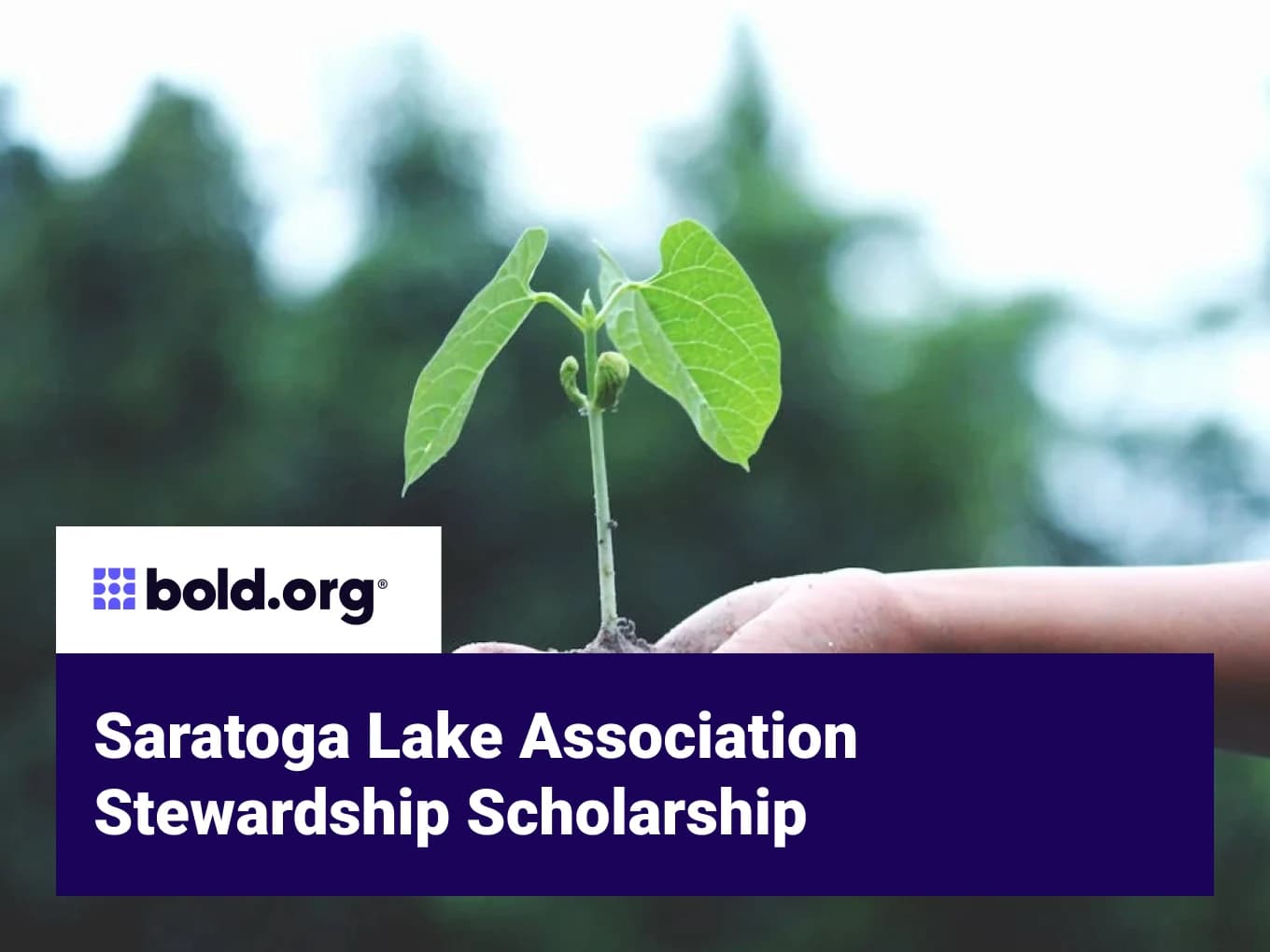 Saratoga Lake Association Stewardship Scholarship