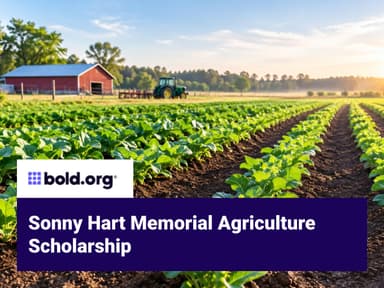 Scholarship cover image