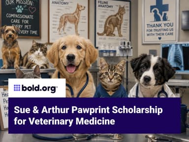Scholarship cover image